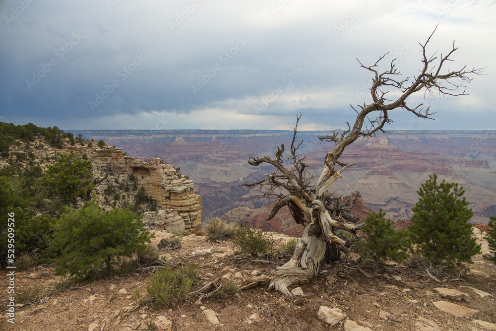 View from the South Rim at Grand Canyon National Park, Arizona, USA