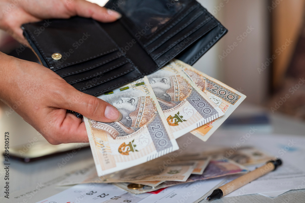 Φωτογραφία the girl holds in her hands a wallet and zloty paper banknotes for payment