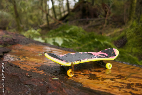 Toy skateboard on a log