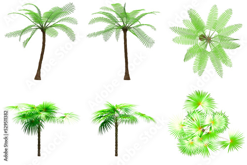 Pack of PNG vegetation. +6K. Tropical plants. Made from 3D model for compositing © Govinda