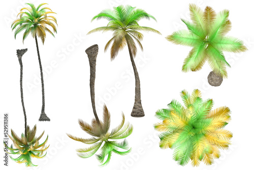 Pack of PNG vegetation.  6K. Tropical plants. Made from 3D model for compositing