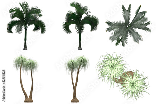 Pack of PNG vegetation.  6K. Tropical plants. Made from 3D model for compositing