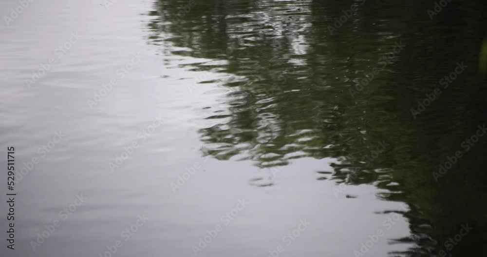 A slow motion of puddle at the pond rainy day A slow motion of puddle at the pond rainy day