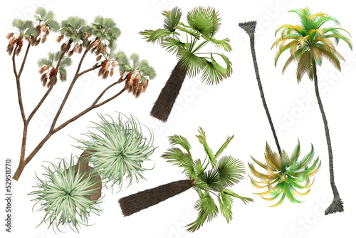 Pack of PNG vegetation. +6K. Tropical plants. Made from 3D model for compositing