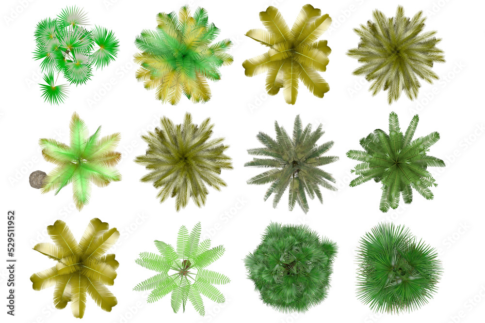 Pack of PNG vegetation. +6K. Tropical plants. Made from 3D model for compositing Pack of PNG vegetation. +6K. Tropical plants. Made from 3D model for compositing