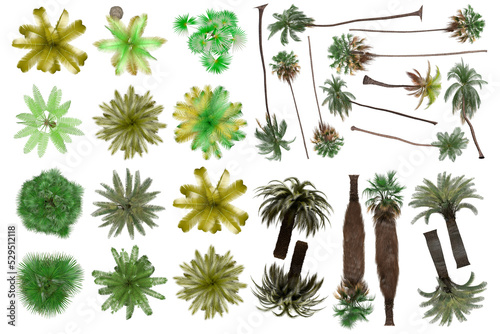Fototapeta Naklejka Na Ścianę i Meble -  Pack of PNG vegetation. +6K. Tropical plants. Made from 3D model for compositing