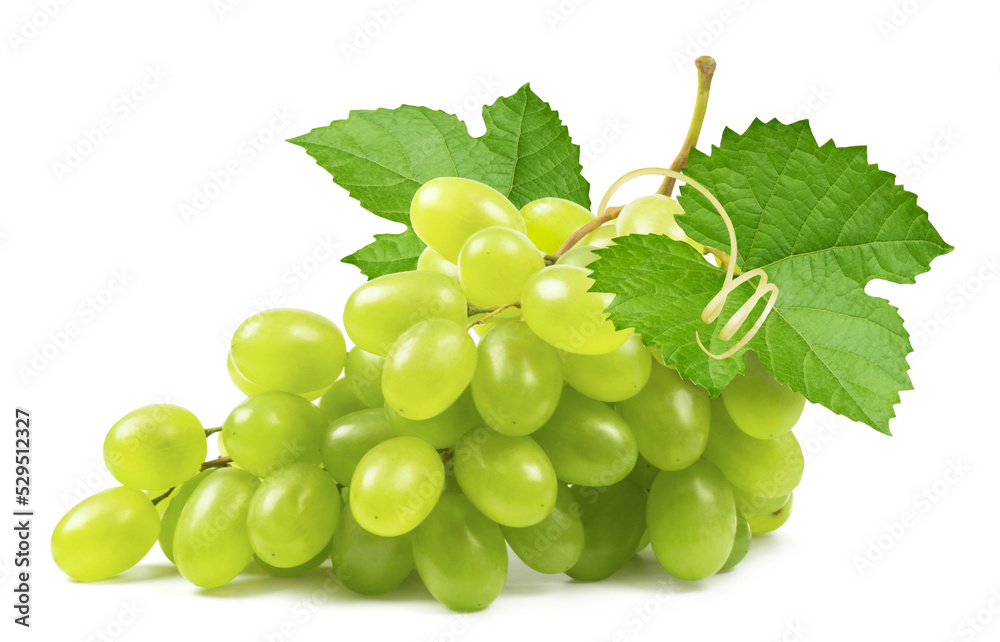 Grapes isolated. Bunch of ripe green grapes with leaves and vine on a white background. Grapes isolated. Bunch of ripe green grapes with leaves and vine on a white background.