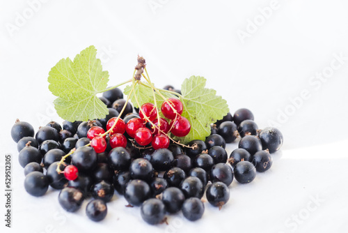 Mix of black and red currants with water drops and green leaves. Blackcurrants, redcurrants isolated on a white background closeup. Currant organic berries harvest - healthy eating and food concept