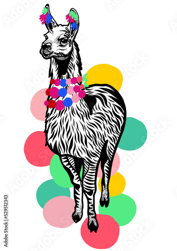 Illustration of lama and alpaca with pom moms photo