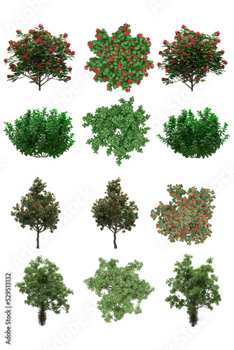 Pack of PNG vegetation.  6K. Generic Bushes Made from 3D model for compositing
