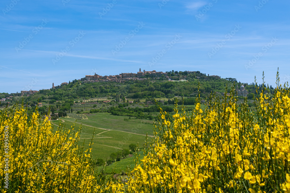 The Skyline Of Famous Montepulciano