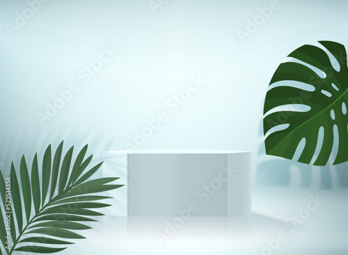 Product showcase with summer leaves. 3d vector mockup podium
