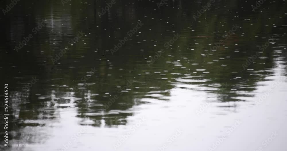 A slow motion of puddle at the pond rainy day A slow motion of puddle at the pond rainy day