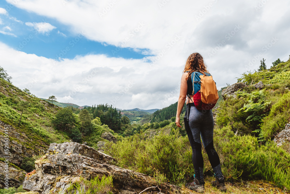 Woman from the back with a backpack contemplating the forest and mountain landscape during a day of trekking. weekend outdoor activities concept