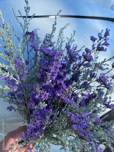 flowers in the wind