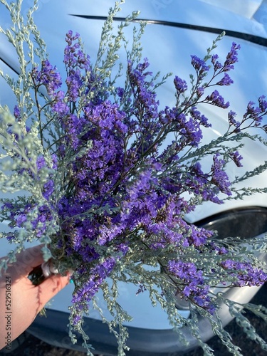 lavender in a vase