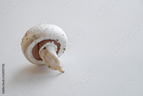 mushrooms on a white background. Champignon. picking mushrooms.