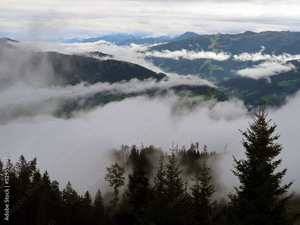 Nebelüber dem Hügelland - misty hill landscape