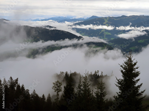 Nebel  ber dem H  gelland - misty hill landscape