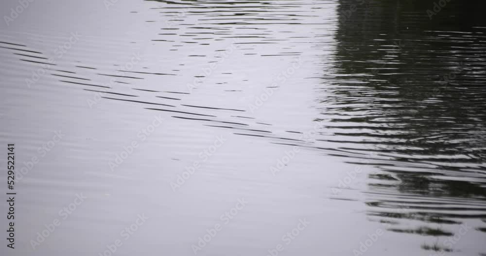 A slow motion of puddle at the pond rainy day A slow motion of puddle at the pond rainy day