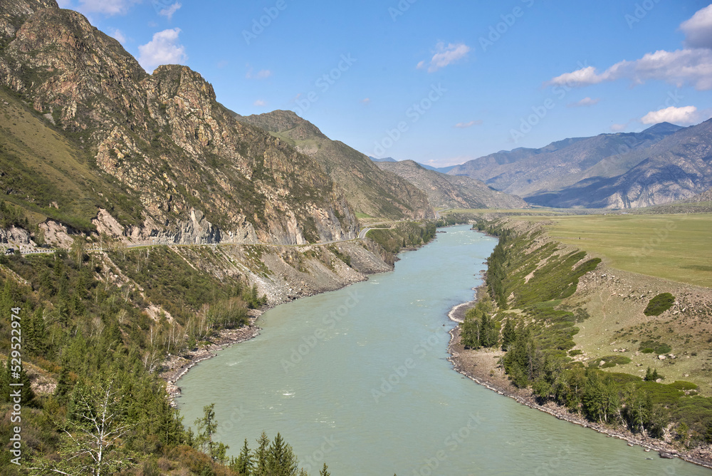 Katun river in Altai mountains, Dangerous river, Russia, Altay. Altai Mountain, Beautifil landscape with mountaines, river and forest.