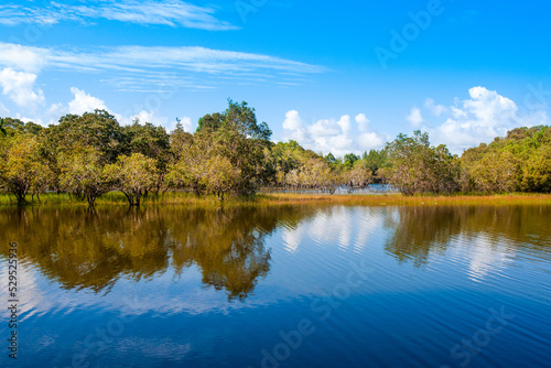 Beautiful landscape with a tropical lake