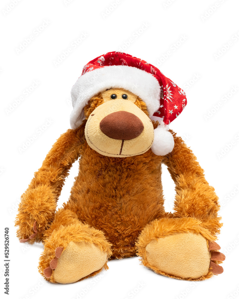 Teddy bear in a Christmas hat on a white background. Teddy bear in a Christmas hat on a white background.