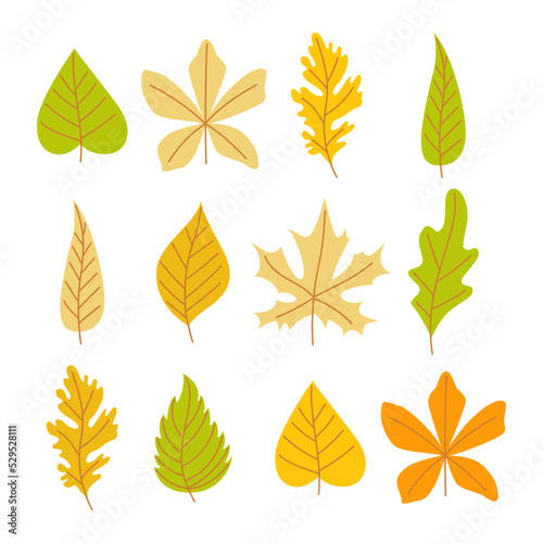 Autumn leaves set in green, yellow, orange colors. Simple cartoon flat style. Vector art isolated on white background.