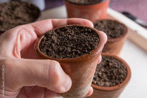 Man hand holds a mini terracotta pot with newly planted plants. Gardening and a botanical concept image. Close up, selective focus