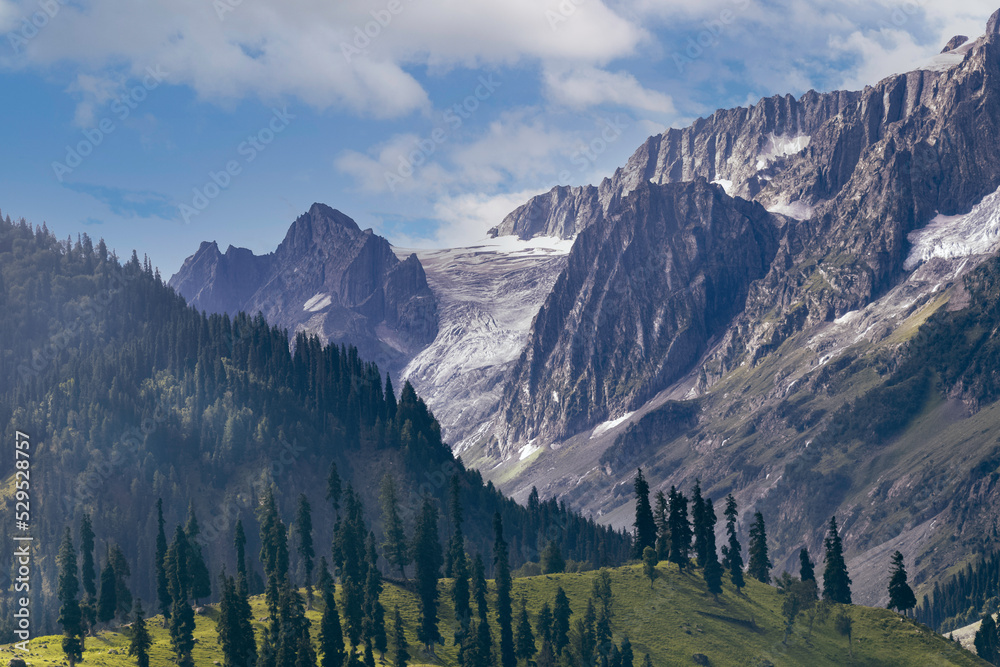 Fototapeta premium Beautiful Kashmir Landscape. Lush green meadows and mountains of Kashmir