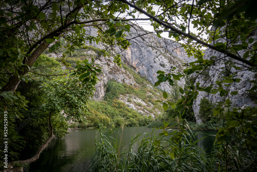 Beautiful rocky cliffs and mountain peaks, covered with dense forest near the town of Omis, Croatia in the Cetina river canyon Beautiful rocky cliffs and mountain peaks, covered with dense forest near the town of Omis, Croatia in the Cetina river canyon