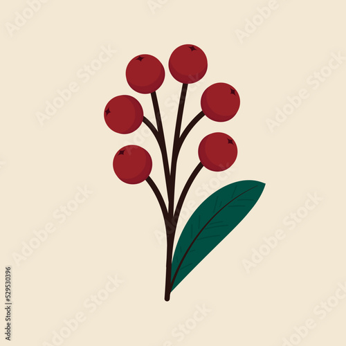 Christmas holly berry leaves isolated. Cute holly isolated on white background. Vector illustration.