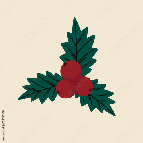 Christmas holly berry leaves isolated. Cute holly isolated on white background. Vector illustration.