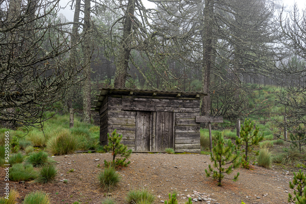 Terrifying cabin in the mountains surrounded by dead trees and gloomy fog. Terrifying cabin in the mountains surrounded by dead trees and gloomy fog.