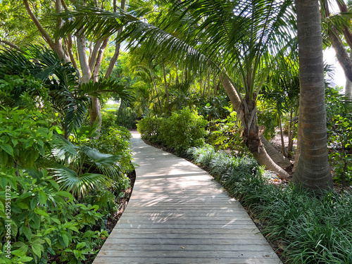 Valokuva A wooden pathway trail during a sunny day in the tropical woods in the Florida Keys