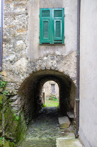 Fototapeta Naklejka Na Ścianę i Meble -  view of the alleyways and stone houses of realdo (ligurian region, imperia province, northern italy). small typical village, is one of the last italian sites before the italy-french borders.