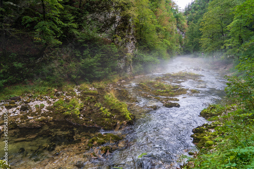 Fog on the Radovna river at Vintgar Gorge near to Bled in Slovenia