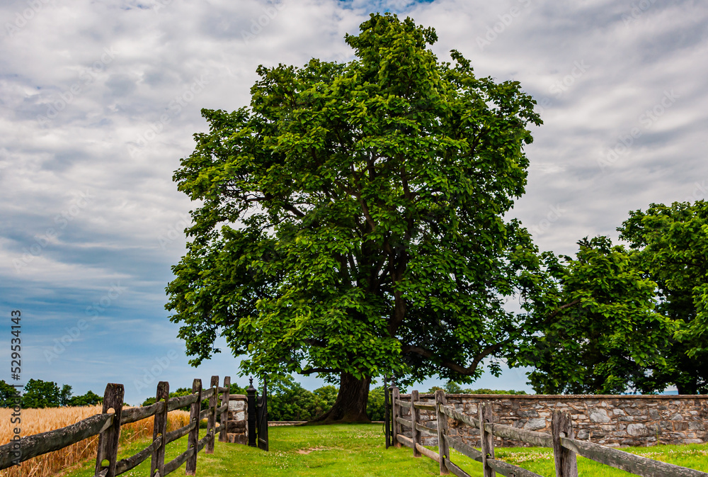 Entering the Historic Mumma Cemetery, Antietam National Battlefield, Maryland USA, Sharpsburg, Maryland