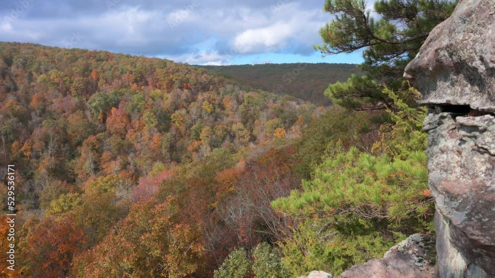 Timelapse of Ozark Mounting forest in Arkansas with colored forest and large rack structure Timelapse of Ozark Mounting forest in Arkansas with colored forest and large rack structure