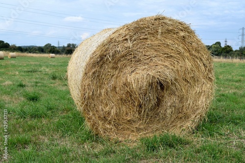 Bale of hay in field