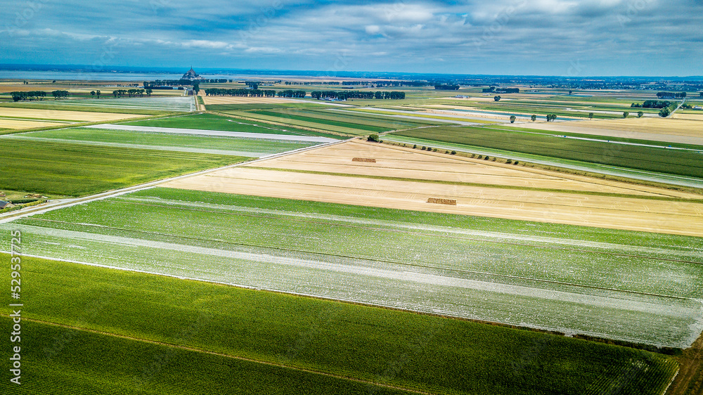 Polders de la Baie du mont St Michel