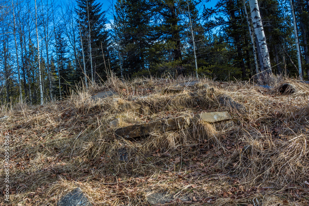 Old stone steps lead to the forest. Sheep River Provincial Park. Alberta, Canada Old stone steps lead to the forest. Sheep River Provincial Park. Alberta, Canada
