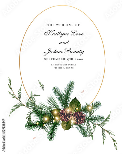 Emerald christmas greenery, spruce, fir, cedar, pine cones vector design oval frame