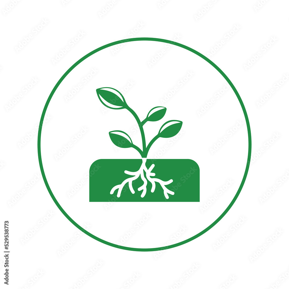 Nature tree plant root icon | Circle version icon | Nature tree plant root icon | Circle version icon |