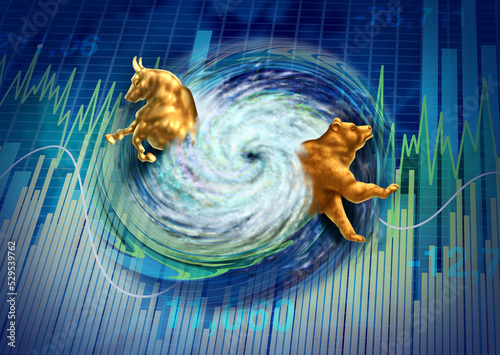 Canvas-taulu Market disaster and crisis or financial turbulence as an investing problem conce
