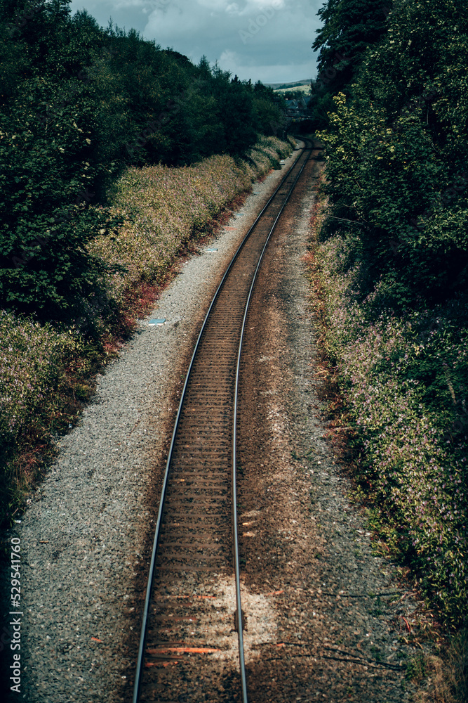 An old rusted train track running through an English forest in Lancashire An old rusted train track running through an English forest in Lancashire