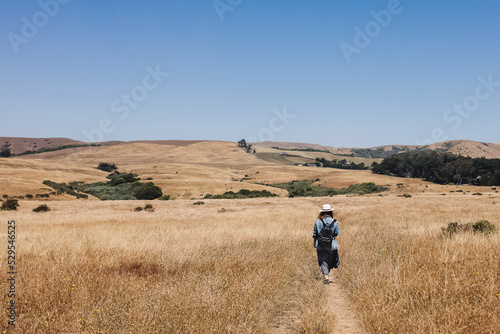 Woman in a hat walking outdoors through the hills with dry grass, view from the back © Diana Vyshniakova