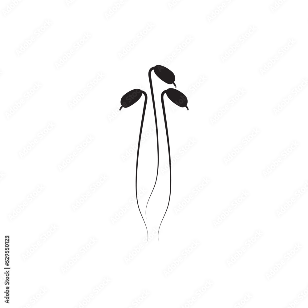 Bean sprout illustration free
