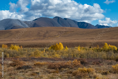 Yukon in Canada, wild landscape in autumn of the Tombstone park 
