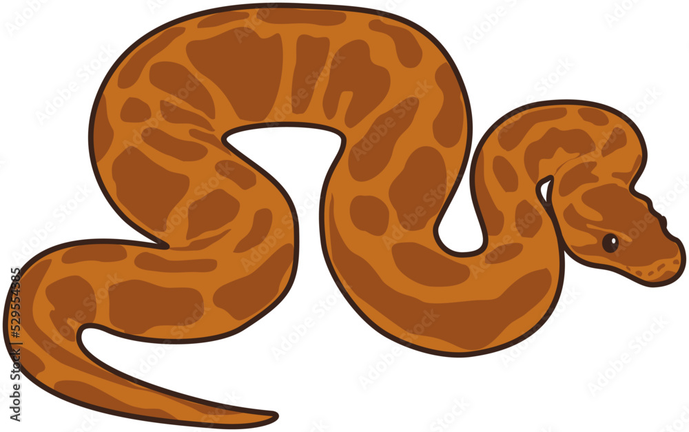 Fototapeta premium illustration of a snake